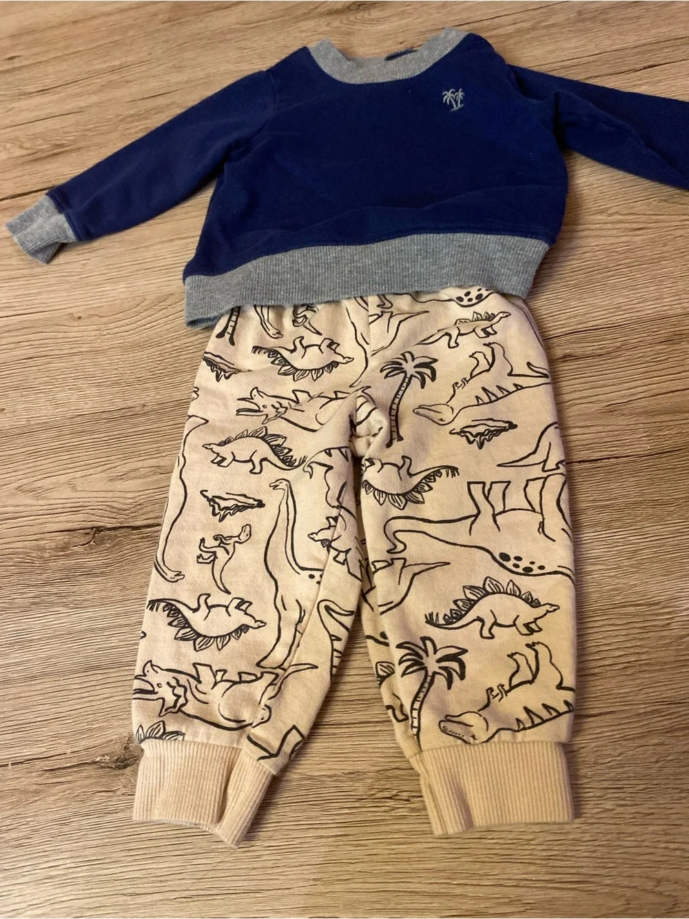 3 Carter's Navy Blue and Cream Kids Matching Set with Dino Joggers